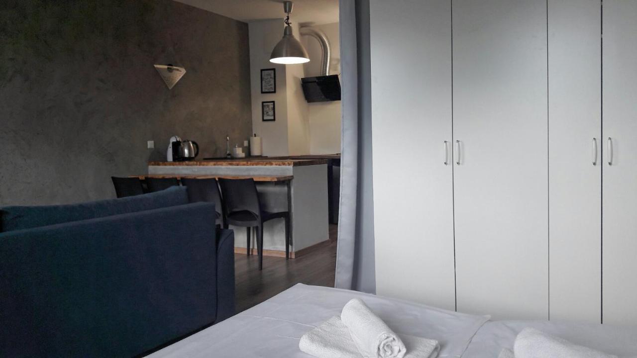 Silver Apartment In Wilanow Varsovie Extérieur photo